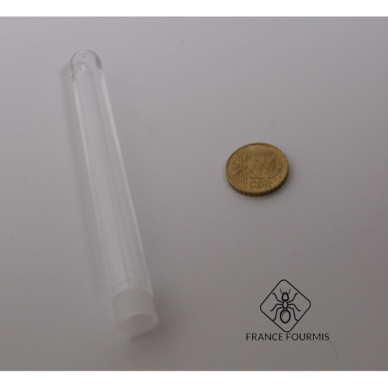 Tube à essai 14x100mm en plastique pour la fondation des colonies de fourmis